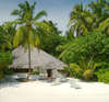 Nika Island Resort 